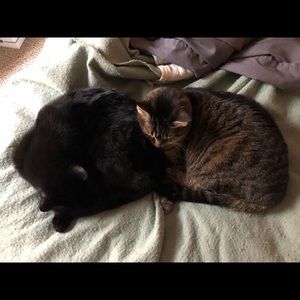 Meet your Posher, Avery